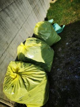 Čistilna akcija na Bregu (2)